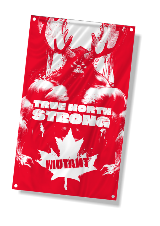 Canada Pride Flag
