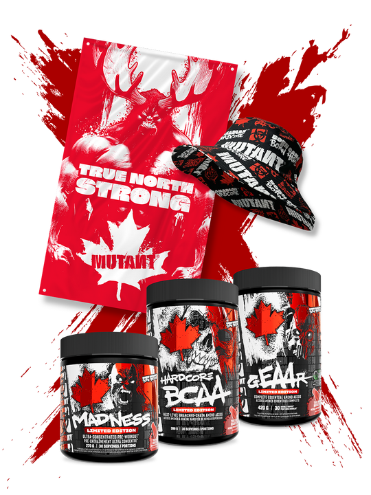 True North Bundle