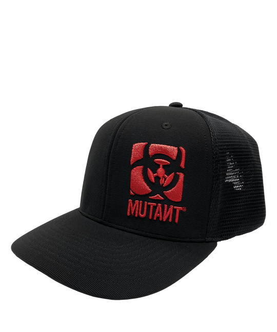 Fitted Flex Cap